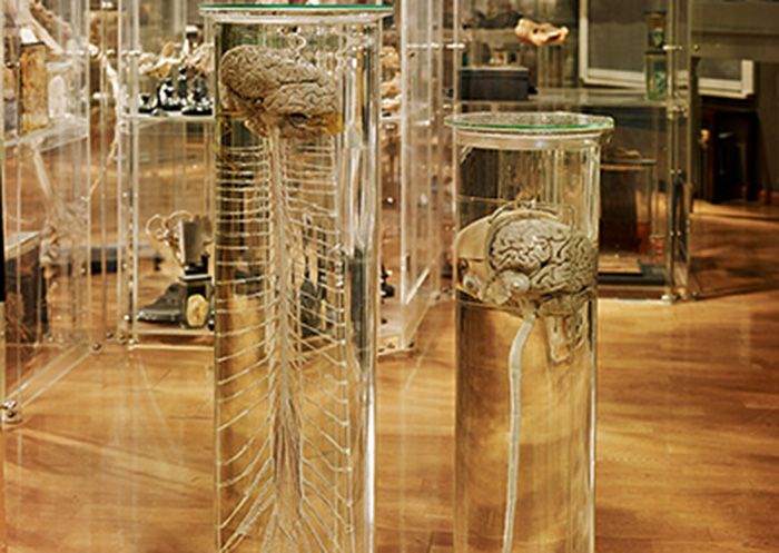 Museum & Labs at KPC Medical College