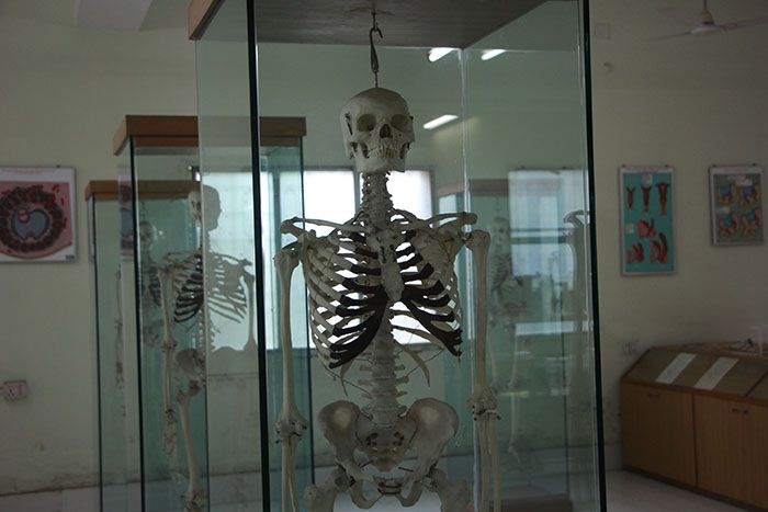 Museum & Labs at KPC Medical College