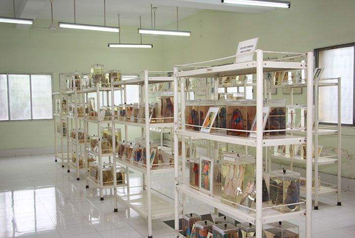 Museum & Labs at KPC Medical College
